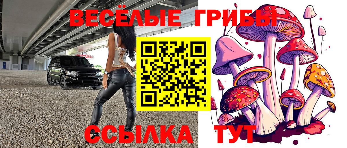 Псилоцибиновые грибы ЛСД Чернушка