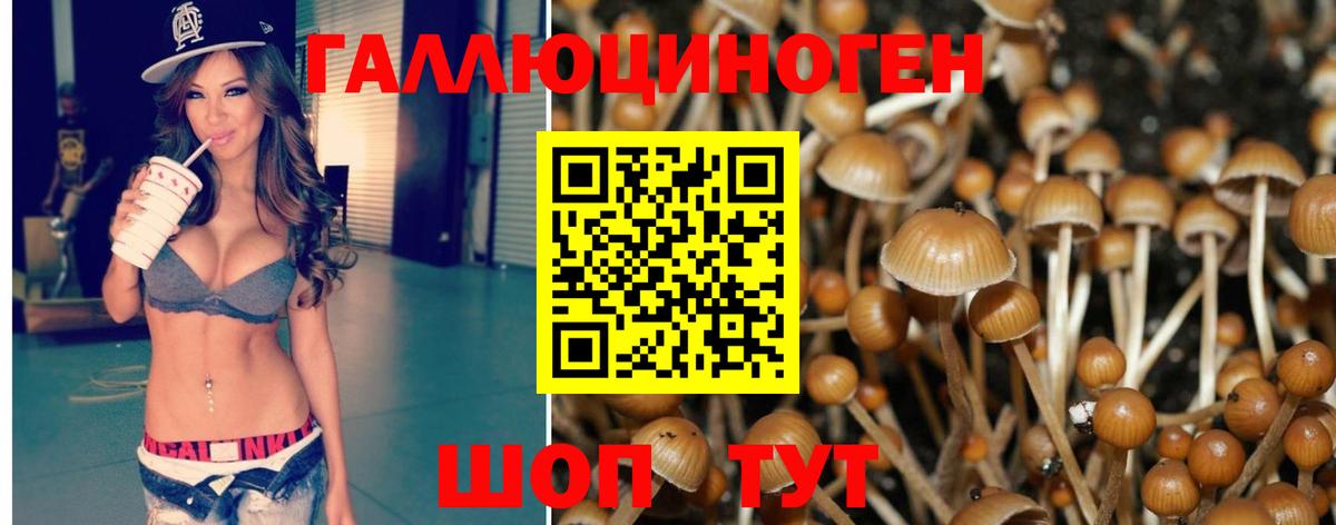 Чернушка  Псилоцибиновые грибы Cubensis  Галлюциногенные грибы Magic Shrooms  Вход с VPN 